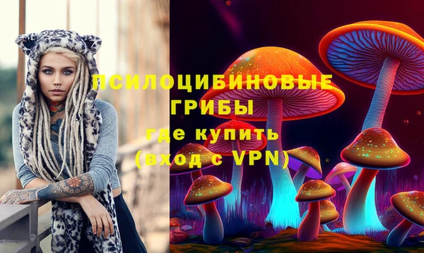 дживик Медвежьегорск