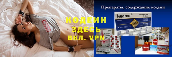 хмурый Мегион