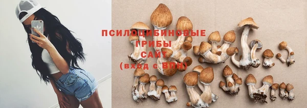 дживик Медвежьегорск