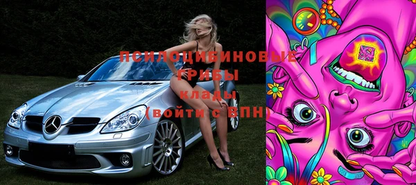 дживик Медвежьегорск