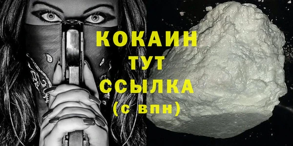 хмурый Мегион