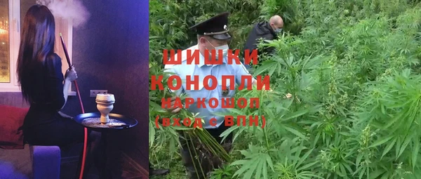 PSILOCYBIN Медногорск