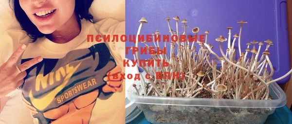 хмурый Мегион