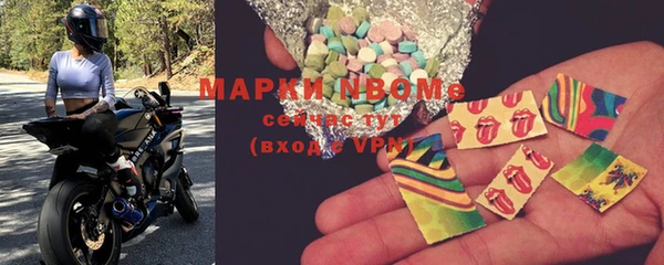 хмурый Мегион