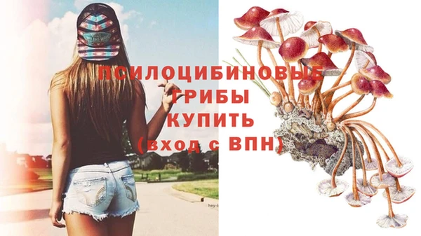 PSILOCYBIN Медногорск