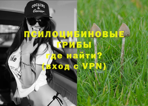 PSILOCYBIN Медногорск